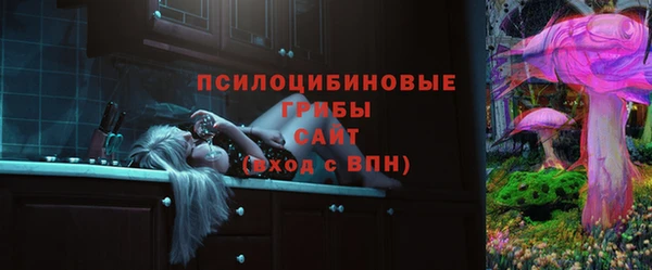 крисы Белокуриха