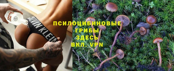 мдма Сясьстрой