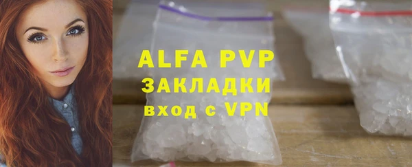 крисы Белокуриха