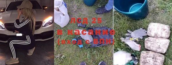 ПСИЛОЦИБИНОВЫЕ ГРИБЫ Беломорск