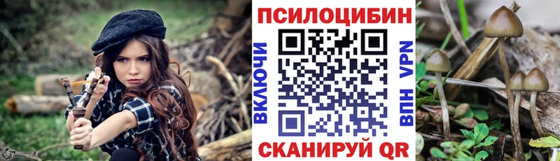 Псилоцибиновые грибы мицелий  купить наркоту  Бузулук 
